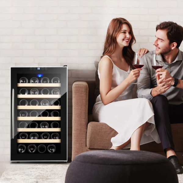 wine Cooler Wine Fridge