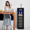 wine Cooler Wine Fridge